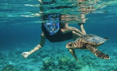 Maldives Snorkeling Package