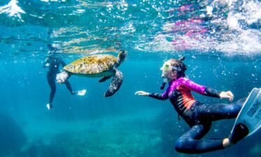 Turtle Point snorkeling in the Maldives
