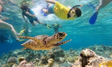Family-friendly Turtle Point snorkeling adventure in Maldives.