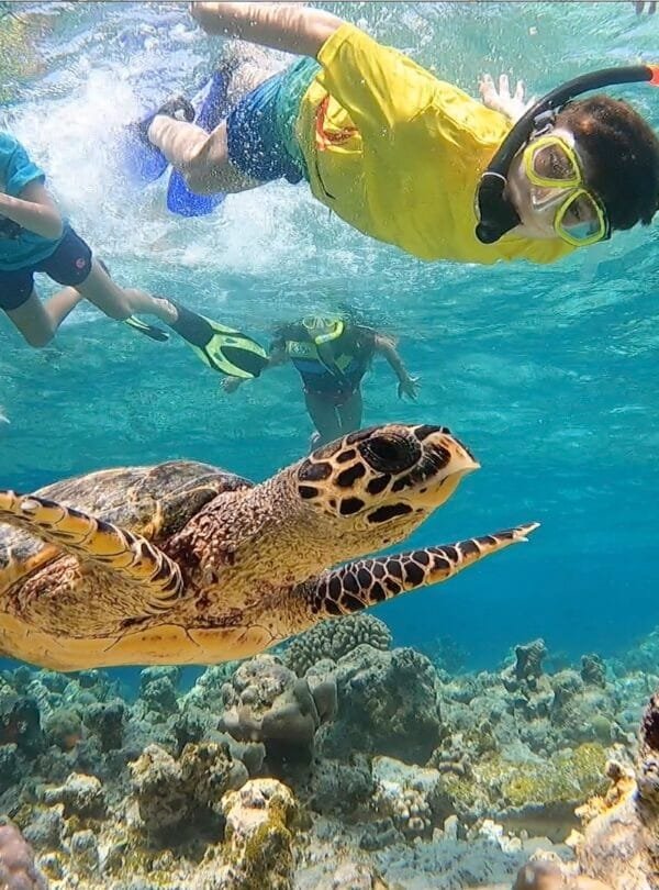 Family-friendly Turtle Point snorkeling adventure in Maldives.