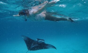 enjoying Manta Ray snorkeling experience in the Maldives.