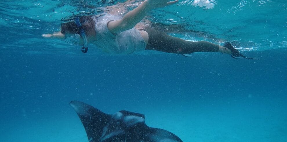 enjoying Manta Ray snorkeling experience in the Maldives.